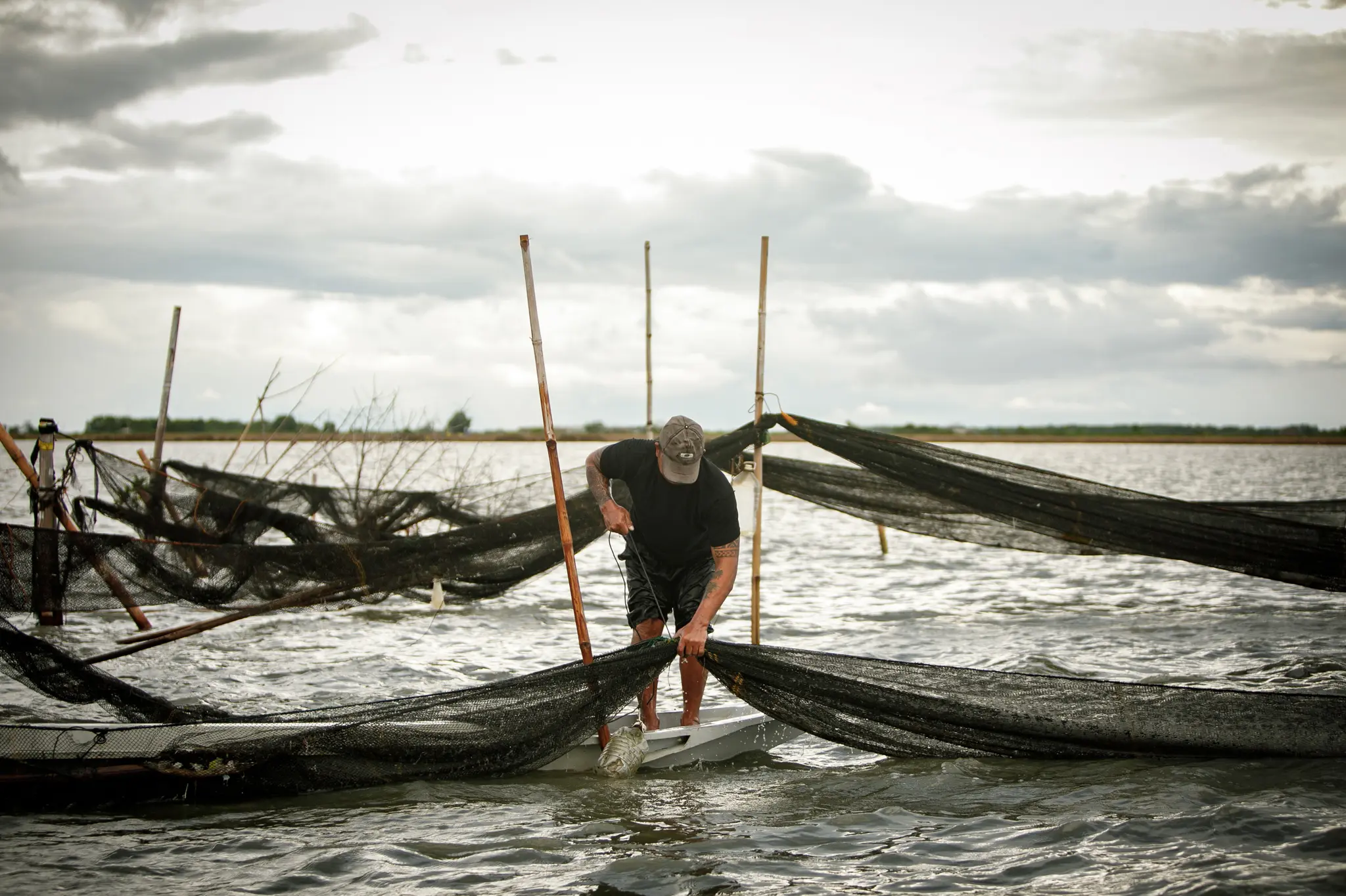 Project Goals & Objectives